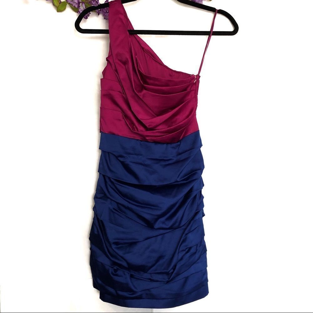 Express Cocktail Dress Fuscia/Royal Blue Bodycon